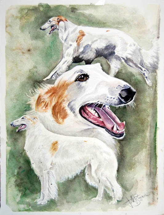 Borzoi | Dog Art | Arja Koskelo Oy